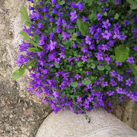O Jardin De Boutancourt Villa Dış mekan fotoğraf
