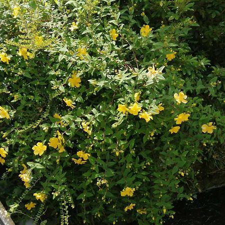 O Jardin De Boutancourt Villa Dış mekan fotoğraf