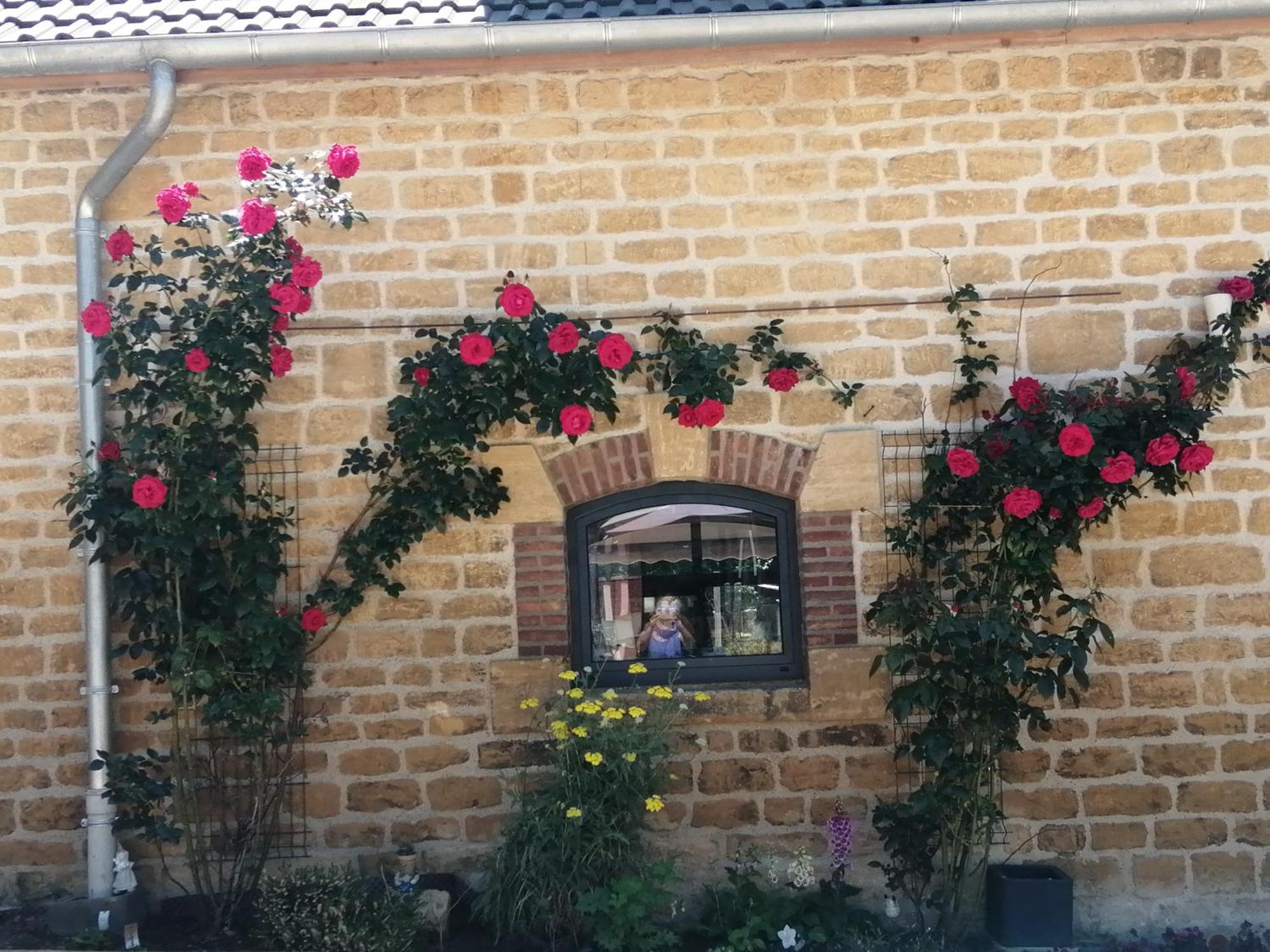 O Jardin De Boutancourt Villa Dış mekan fotoğraf