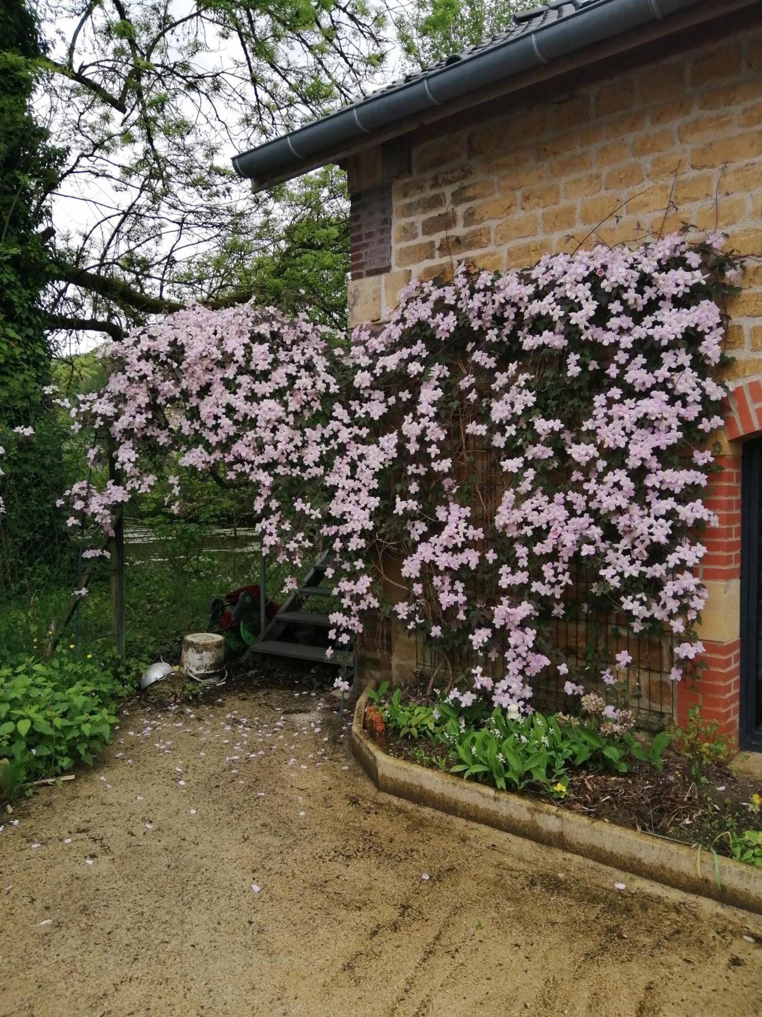 O Jardin De Boutancourt Villa Dış mekan fotoğraf