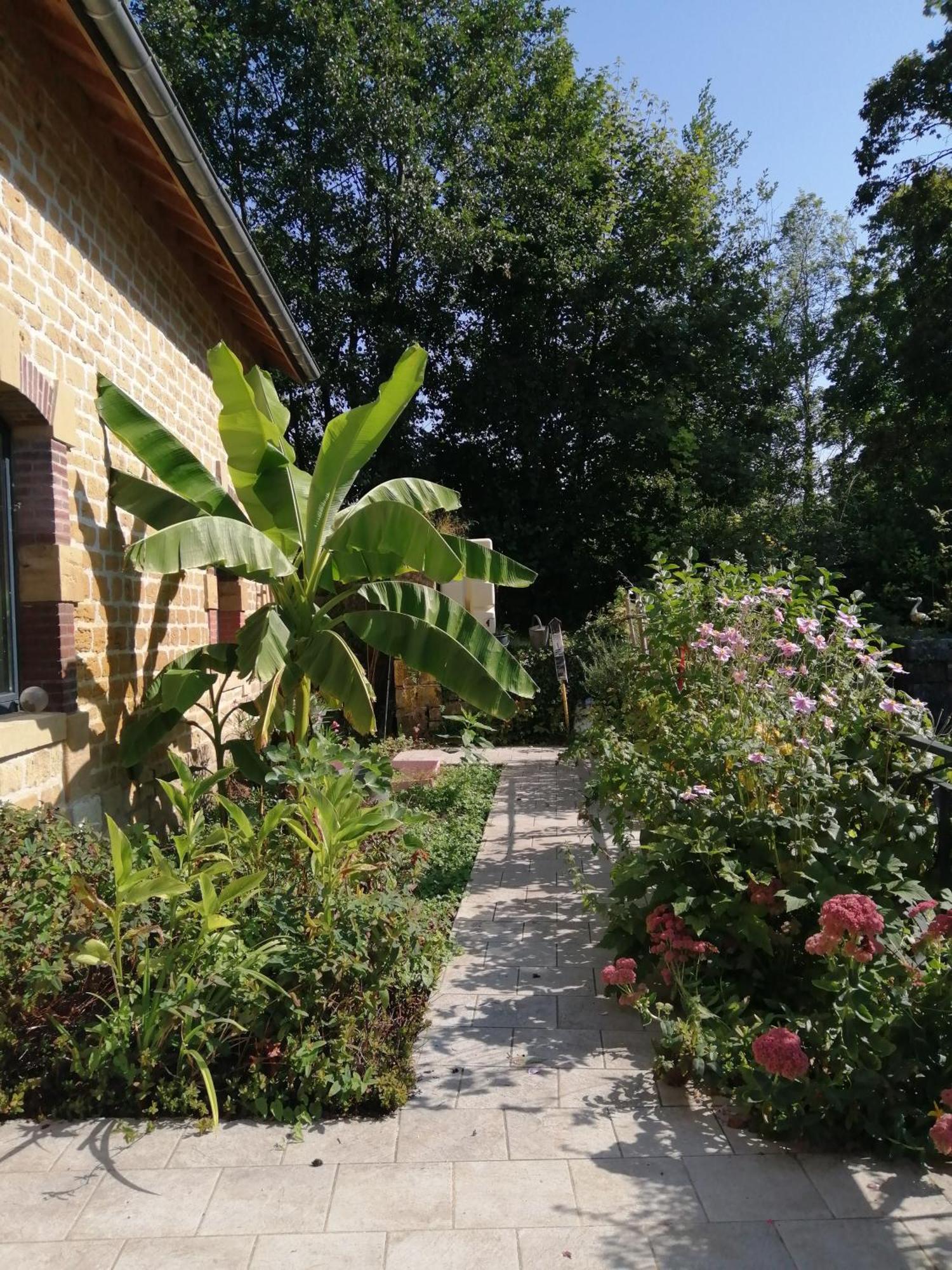 O Jardin De Boutancourt Villa Dış mekan fotoğraf