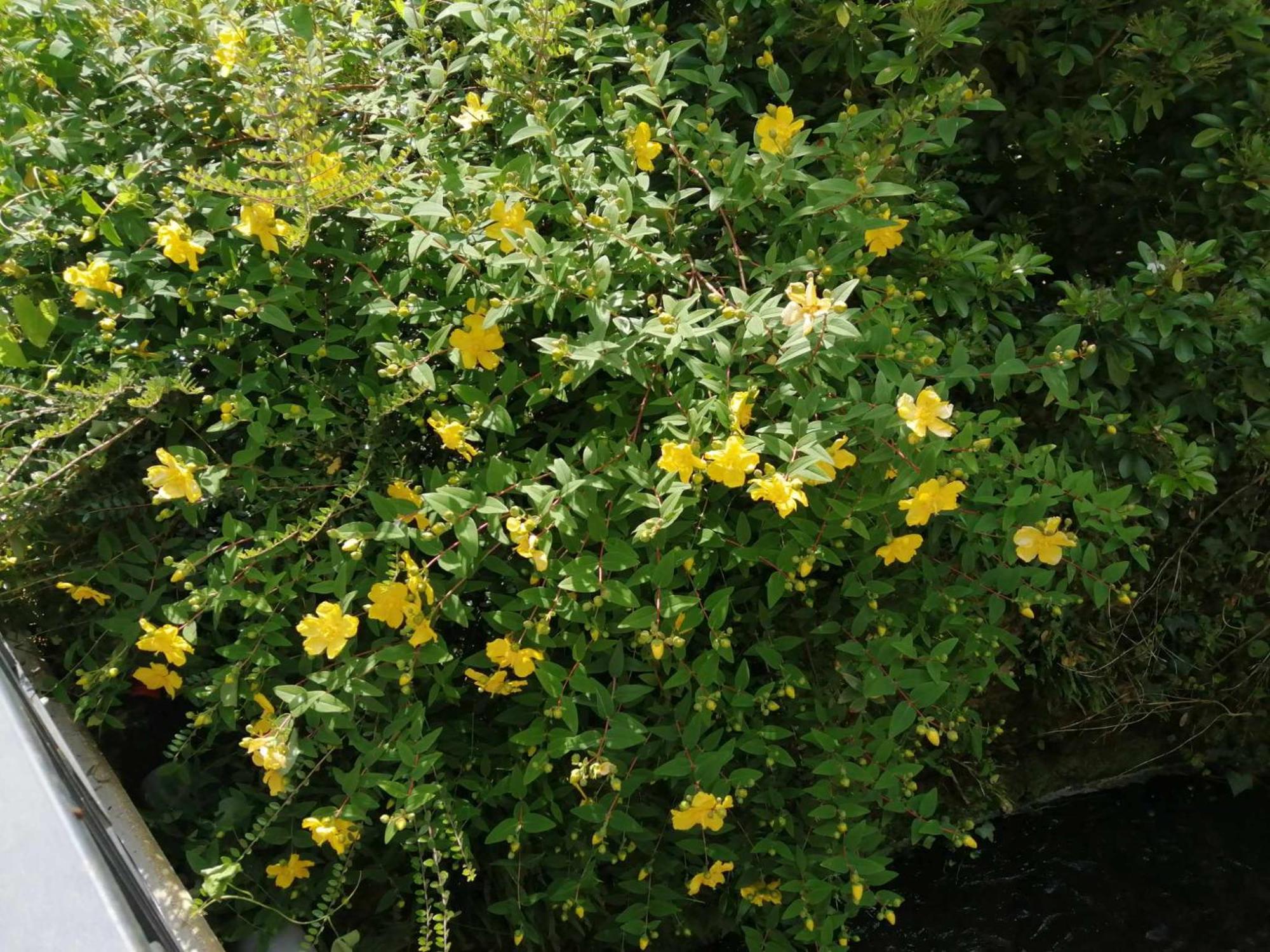 O Jardin De Boutancourt Villa Dış mekan fotoğraf