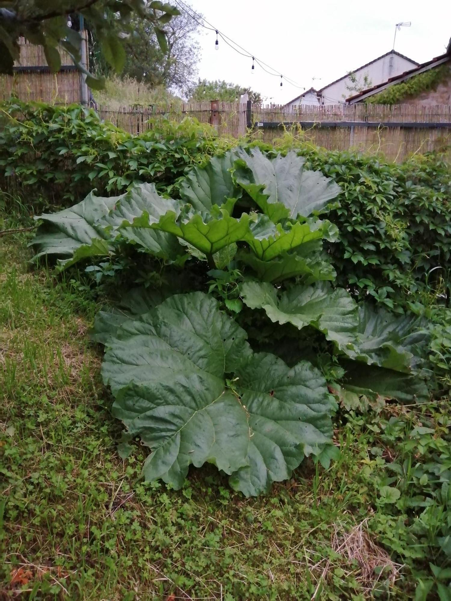 O Jardin De Boutancourt Villa Dış mekan fotoğraf