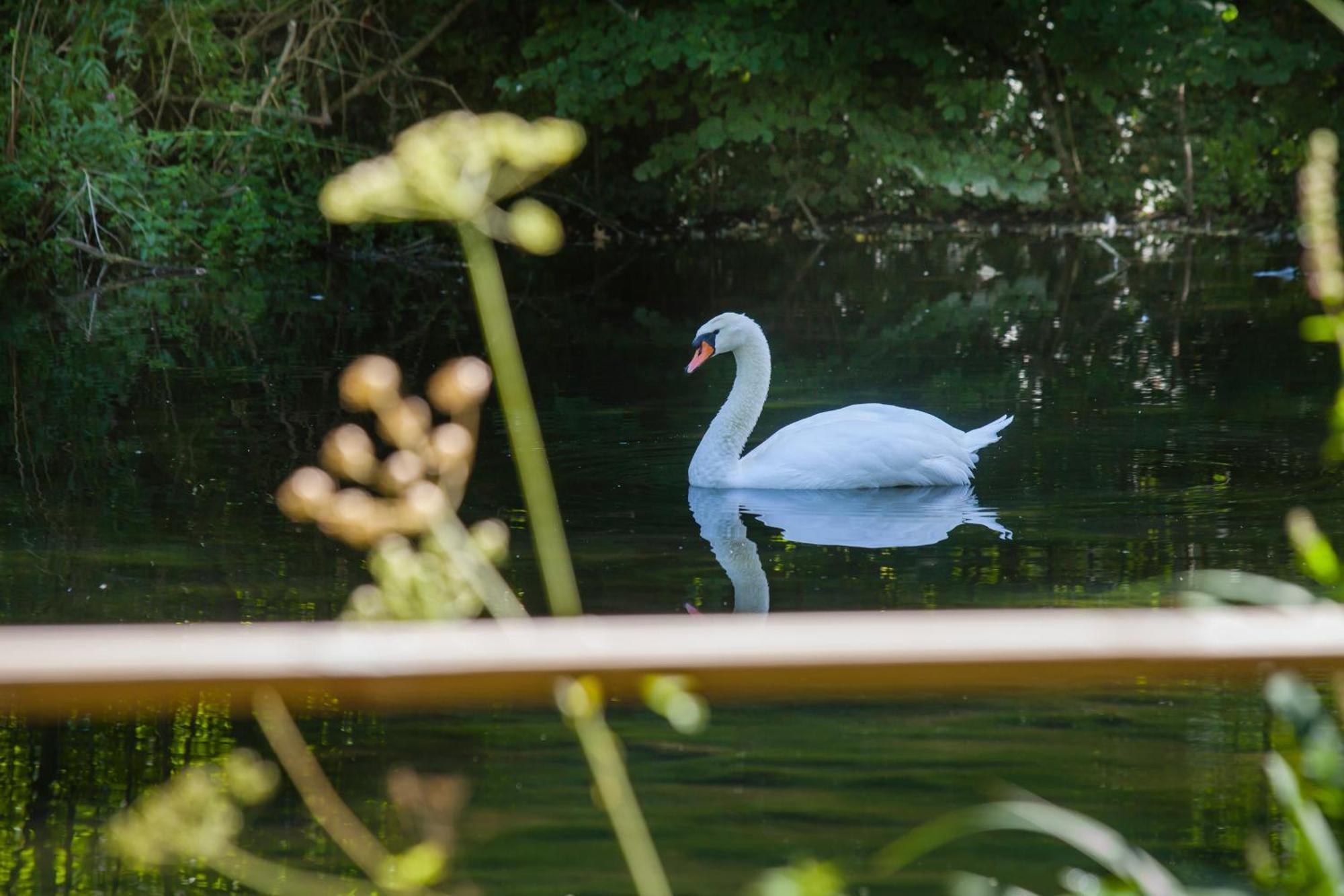 O Jardin De Boutancourt Villa Dış mekan fotoğraf